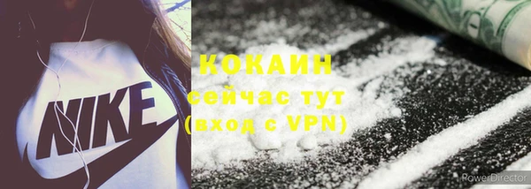 ПСИЛОЦИБИНОВЫЕ ГРИБЫ Новодвинск