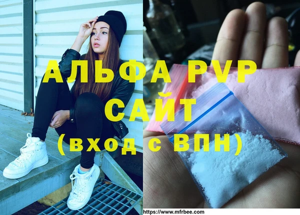 PSILOCYBIN Новозыбков