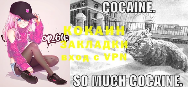 дурь Нея