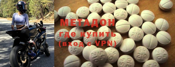 шишки Дубна