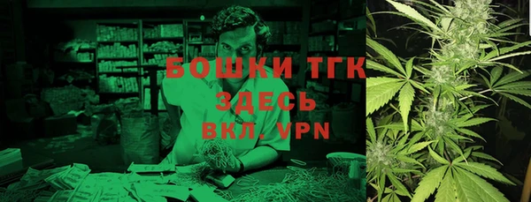 ПСИЛОЦИБИНОВЫЕ ГРИБЫ Новодвинск