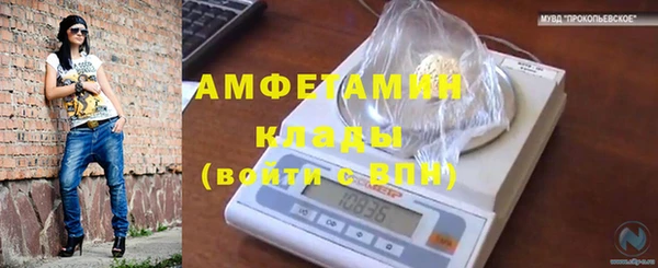 дурь Нея