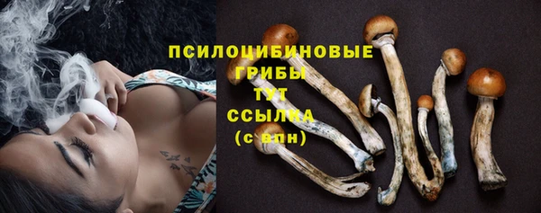 ПСИЛОЦИБИНОВЫЕ ГРИБЫ Новодвинск