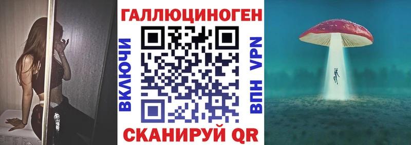 Псилоцибиновые грибы Cubensis  omg как войти  Судак 